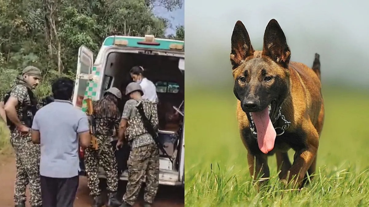 crpf dog