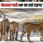 madhav tiger reserve 750x466 1.webp